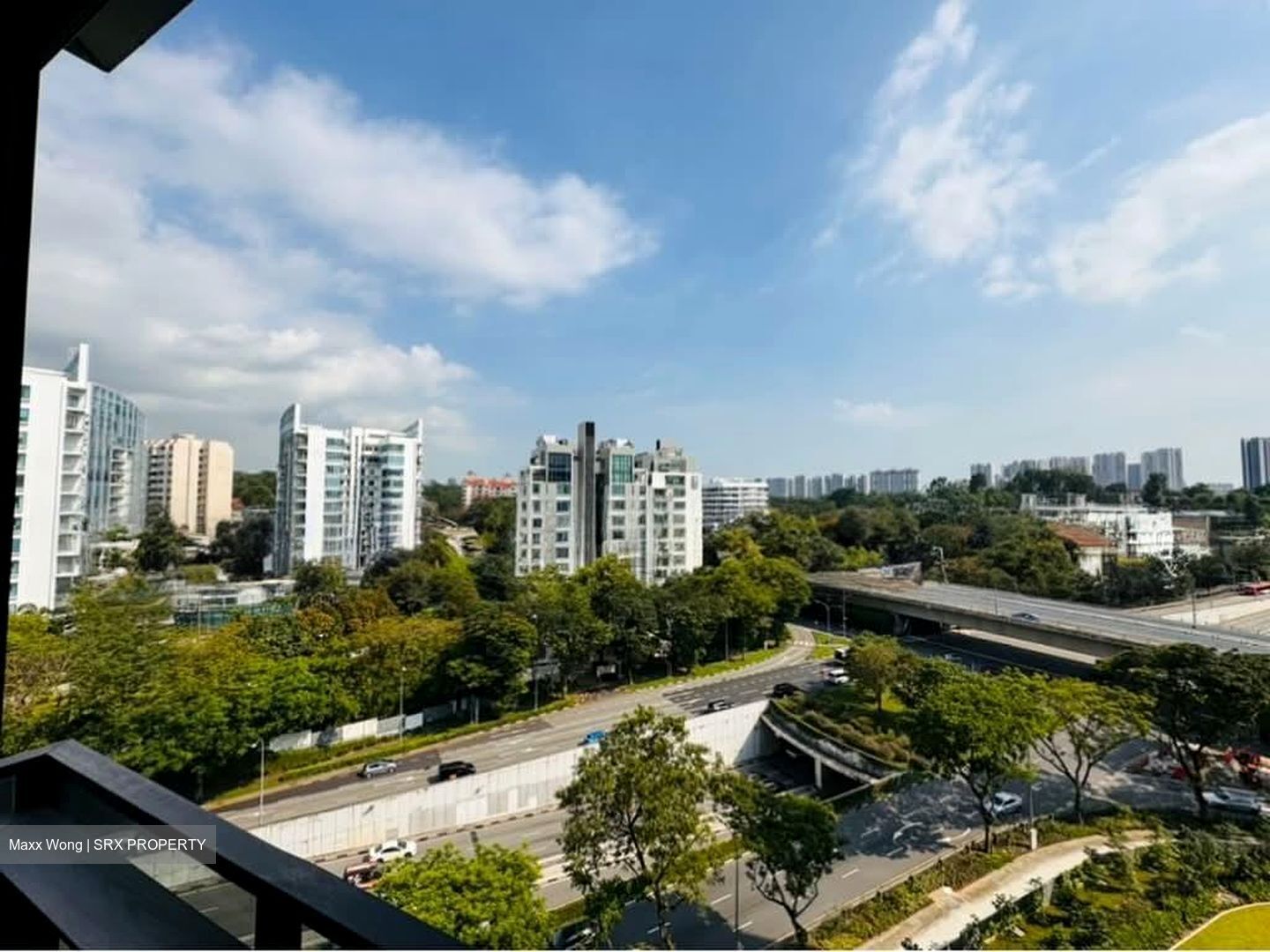 Leedon Green (D10), Condominium #587748001